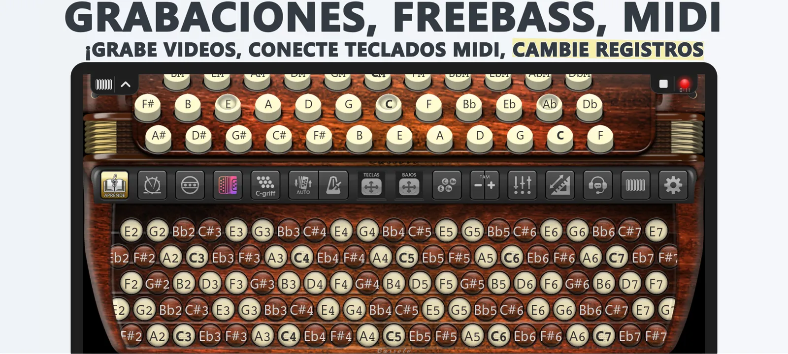 Acordeón Cassoto Cromático: captura de pantalla 6 de 6